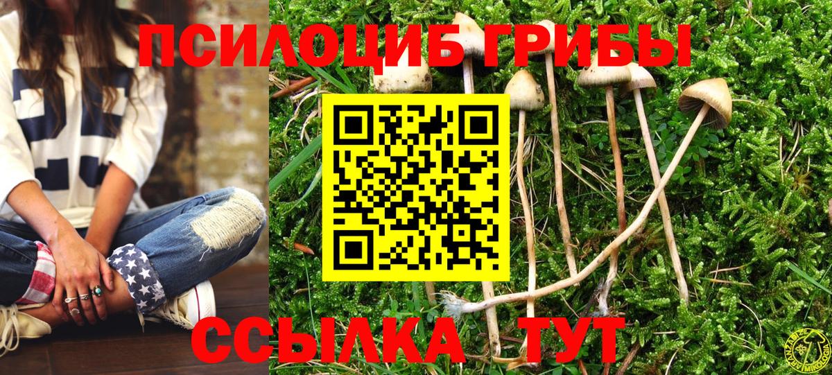 Галлюциногенные грибы мухоморы  Вход с VPN  Черногорск 